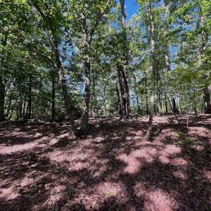 Photo #37 of Off of Brights Road, Pittsville, VA 30.4 acres