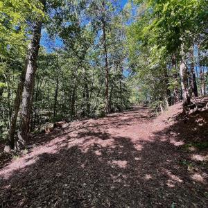 Photo #39 of Off of Brights Road, Pittsville, VA 30.4 acres