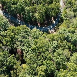 Photo #41 of Off of Brights Road, Pittsville, VA 30.4 acres