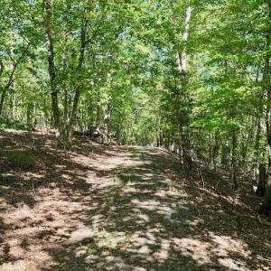 Photo #50 of Off of Brights Road, Pittsville, VA 30.4 acres