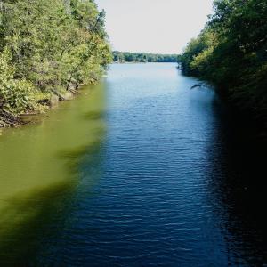 Photo #51 of Off of Brights Road, Pittsville, VA 30.4 acres