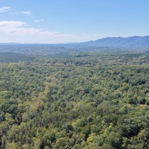 Photo #55 of Off of Brights Road, Pittsville, VA 30.4 acres