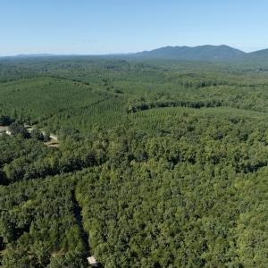 Photo #58 of Off of Brights Road, Pittsville, VA 30.4 acres