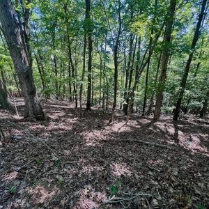 Photo #63 of Off of Brights Road, Pittsville, VA 30.4 acres