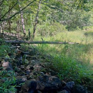 Photo #64 of Off of Brights Road, Pittsville, VA 30.4 acres