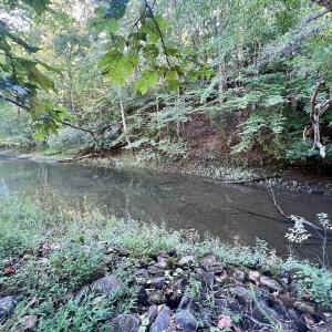 Photo #69 of Off of Brights Road, Pittsville, VA 30.4 acres