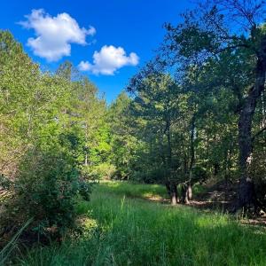 Photo #1 of Off of White Oak River Rd. , Maysville, NC 106.0 acres