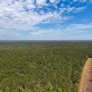Photo #12 of Off of White Oak River Rd. , Maysville, NC 106.0 acres