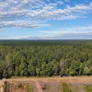 Photo #18 of Off of White Oak River Rd. , Maysville, NC 106.0 acres