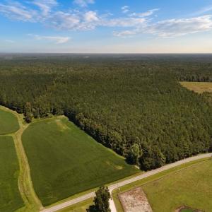 Photo #2 of Off of White Oak River Rd. , Maysville, NC 106.0 acres