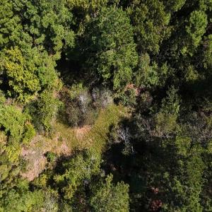 Photo #21 of Off of White Oak River Rd. , Maysville, NC 106.0 acres