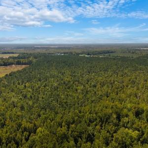 Photo #25 of Off of White Oak River Rd. , Maysville, NC 106.0 acres