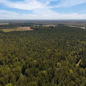 Photo #27 of Off of White Oak River Rd. , Maysville, NC 106.0 acres