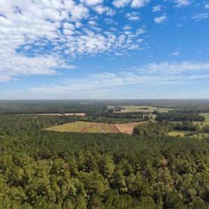 Photo #31 of Off of White Oak River Rd. , Maysville, NC 106.0 acres