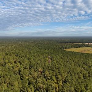 Photo #32 of Off of White Oak River Rd. , Maysville, NC 106.0 acres