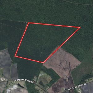 Photo #41 of Off of White Oak River Rd. , Maysville, NC 106.0 acres