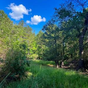 Photo #1 of Off of White Oak River Rd. , Maysville, NC 106.0 acres