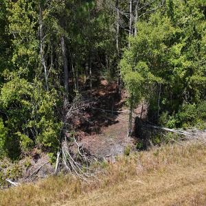 Photo #14 of Off of White Oak River Rd. , Maysville, NC 106.0 acres