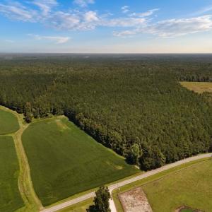 Photo #2 of Off of White Oak River Rd. , Maysville, NC 106.0 acres