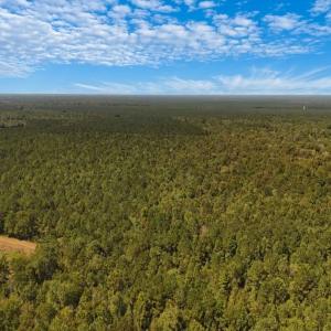 Photo #20 of Off of White Oak River Rd. , Maysville, NC 106.0 acres
