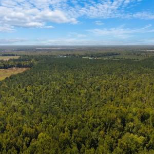 Photo #25 of Off of White Oak River Rd. , Maysville, NC 106.0 acres