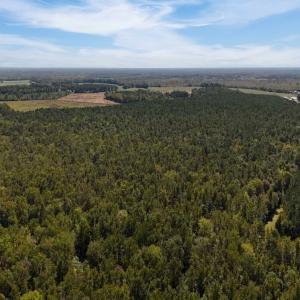 Photo #27 of Off of White Oak River Rd. , Maysville, NC 106.0 acres