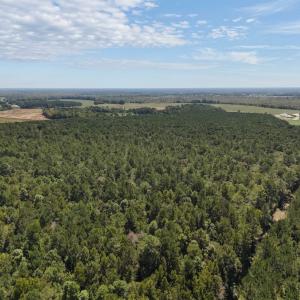 Photo #30 of Off of White Oak River Rd. , Maysville, NC 106.0 acres
