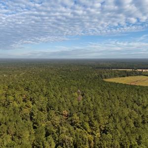 Photo #32 of Off of White Oak River Rd. , Maysville, NC 106.0 acres