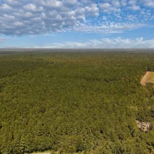 Photo #36 of Off of White Oak River Rd. , Maysville, NC 106.0 acres