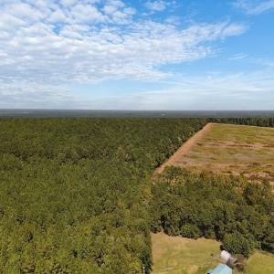Photo #39 of Off of White Oak River Rd. , Maysville, NC 106.0 acres