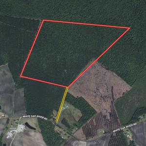 Photo #40 of Off of White Oak River Rd. , Maysville, NC 106.0 acres
