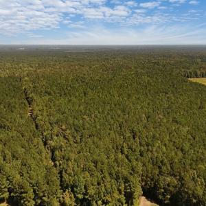 Photo #5 of Off of White Oak River Rd. , Maysville, NC 106.0 acres