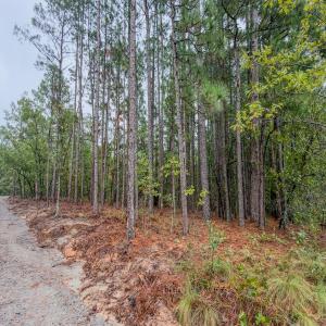 Photo #2 of 599 McDuffie Rd., Cameron, NC 1.5 acres