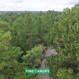 Photo #10 of 599 McDuffie Rd., Cameron, NC 1.5 acres