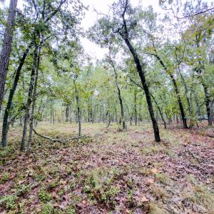 Photo #11 of 599 McDuffie Rd., Cameron, NC 1.5 acres
