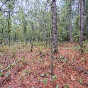 Photo #22 of 599 McDuffie Rd., Cameron, NC 1.5 acres
