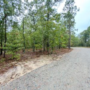 Photo #24 of 599 McDuffie Rd., Cameron, NC 1.5 acres