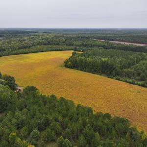 Photo #10 of Off of Blank Lane, Emporia, VA 107.0 acres
