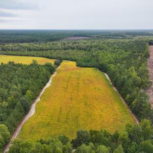 Photo #11 of Off of Blank Lane, Emporia, VA 107.0 acres