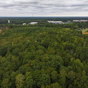 Photo #12 of Off of Blank Lane, Emporia, VA 107.0 acres