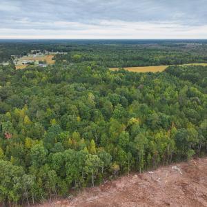Photo #14 of Off of Blank Lane, Emporia, VA 107.0 acres