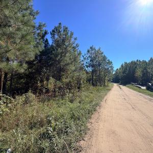 Photo #15 of Off of Blank Lane, Emporia, VA 107.0 acres