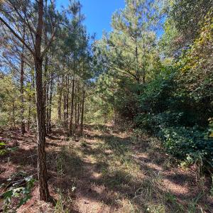 Photo #16 of Off of Blank Lane, Emporia, VA 107.0 acres