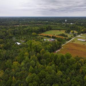 Photo #18 of Off of Blank Lane, Emporia, VA 107.0 acres
