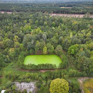Photo #20 of Off of Blank Lane, Emporia, VA 107.0 acres
