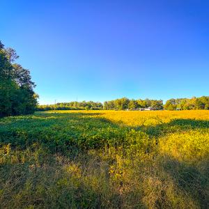 Photo #21 of Off of Blank Lane, Emporia, VA 107.0 acres