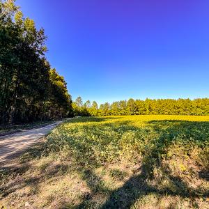 Photo #22 of Off of Blank Lane, Emporia, VA 107.0 acres