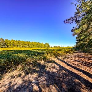 Photo #23 of Off of Blank Lane, Emporia, VA 107.0 acres