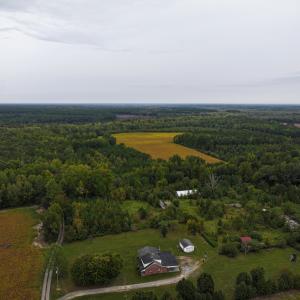 Photo #24 of Off of Blank Lane, Emporia, VA 107.0 acres