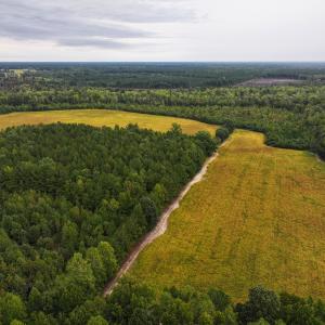 Photo #25 of Off of Blank Lane, Emporia, VA 107.0 acres